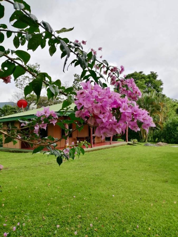 ビハグア Casita El Jardinヴィラ エクステリア 写真