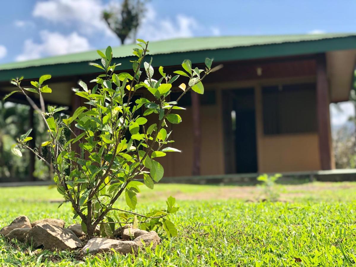 ビハグア Casita El Jardinヴィラ エクステリア 写真