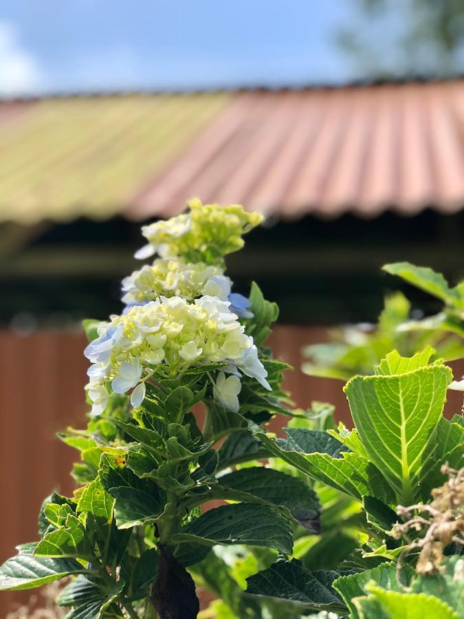 ビハグア Casita El Jardinヴィラ エクステリア 写真